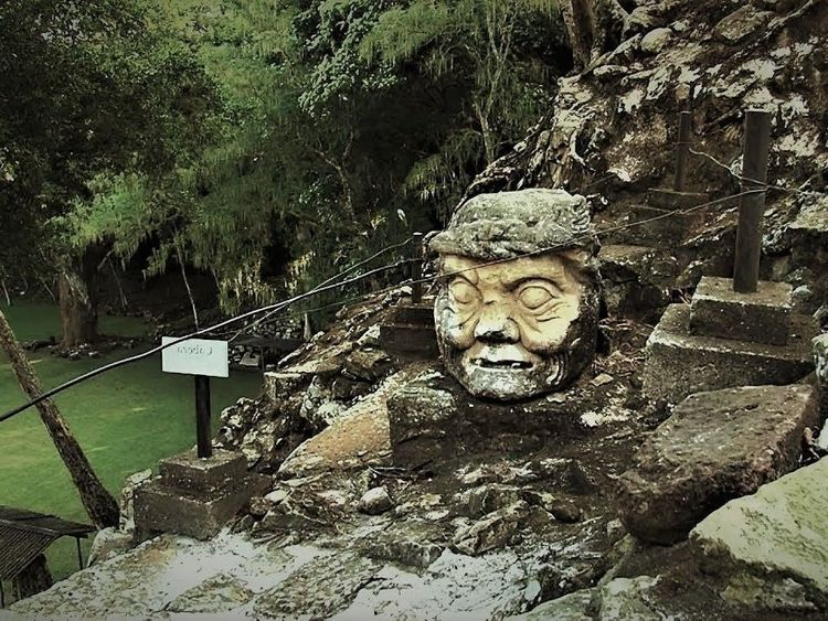 Bizarre Finds in the Wild – You Won’t Believe What’s Out There